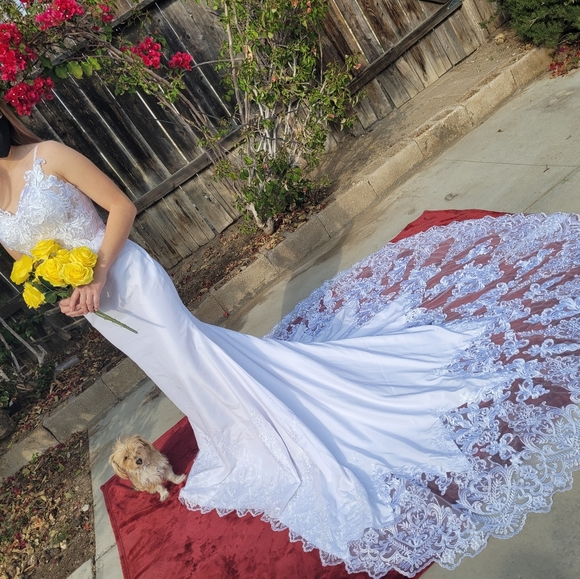 Nice Wedding Dress - Picture 7 of 16